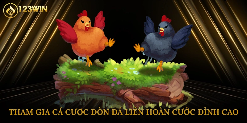 Tham gia cá cược đòn đá liên hoàn cước đỉnh cao tại 123win